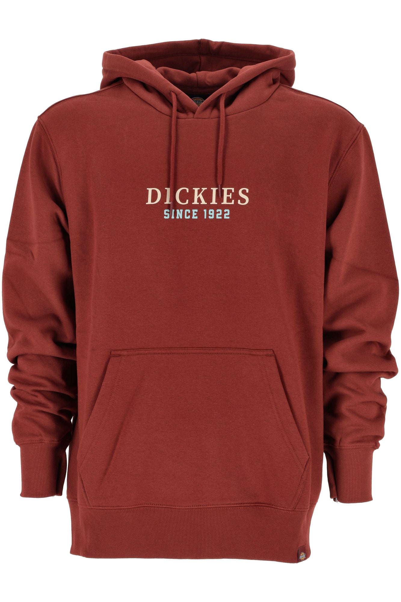 Dickies Felpa Uomo DK0A4YEHG041