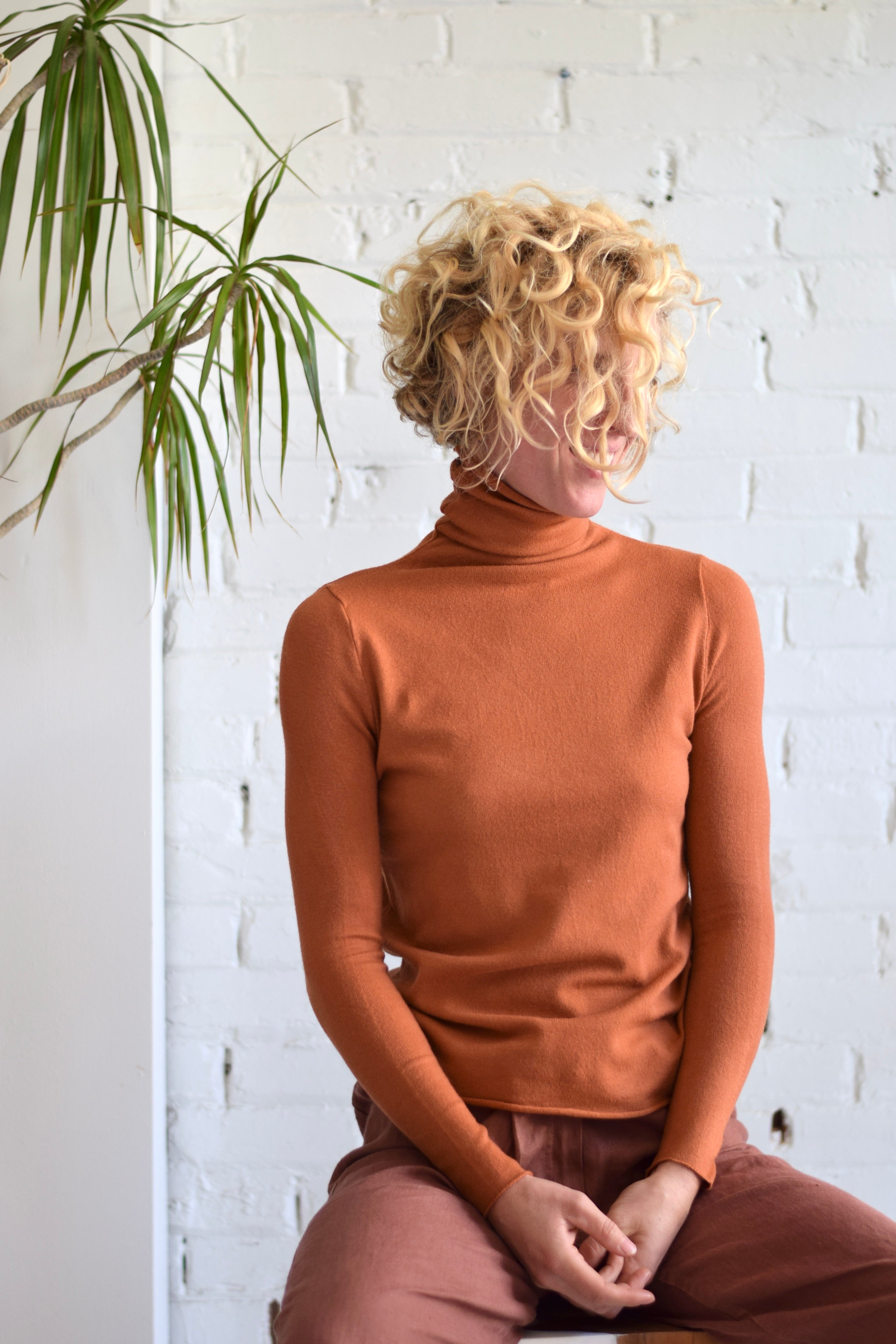 Lana Cashmere Blend Turtleneck